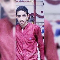 قاسہٰم الہٰمنيٰاوي