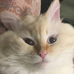 Даша Рядчикова