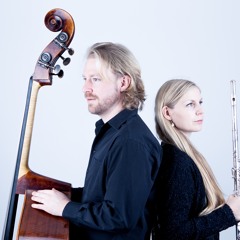 PolarFlairDuo