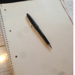 Sorang Amini 사랑 سارنگ सौरंग