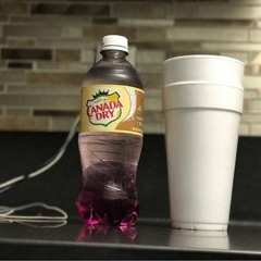 bigglo300