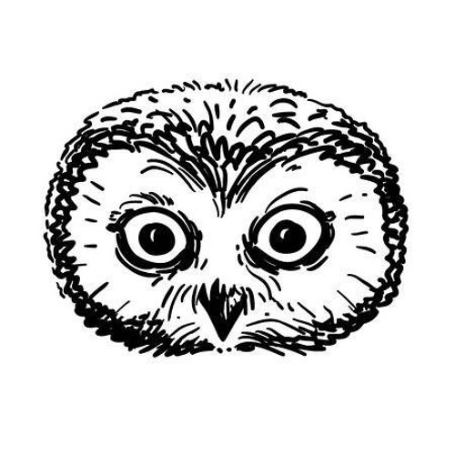 Weird Owl’s avatar