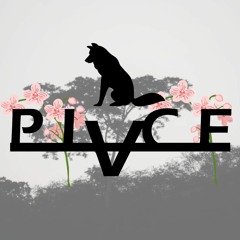 P L V C E