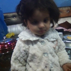 Abdul ASif