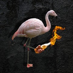 Pink Flamingo Death Pact