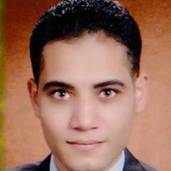 tamer shpayk