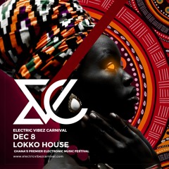 ElectricVibezCarnival