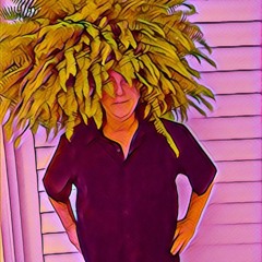 Robert Johnson Howard