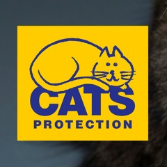 Cats Protection Veterinary Department