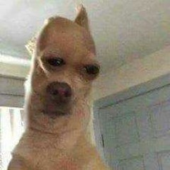 Joao Paulo Damasceno