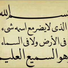عمار صرصر