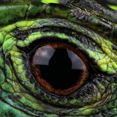 Foo Fighter Meets 70's Bobby Caldwell - Elise Trouw ( Nuss Remix )