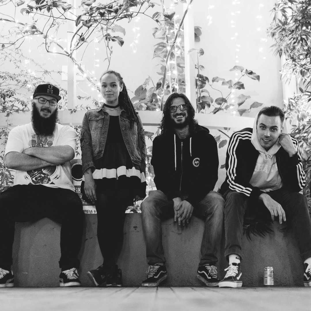 Stream The Skints music | Listen to songs, albums, playlists for