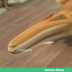 Wakaba Glitch