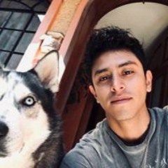 user901979287