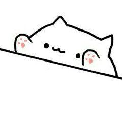 bongo cat