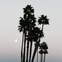 Josh.805_
