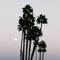 Josh.805_