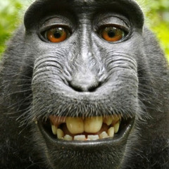 артем вахний