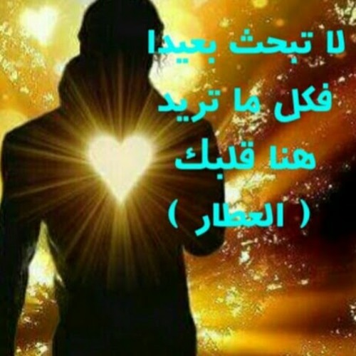 باقر الفيداوي’s avatar
