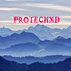 Protech XD