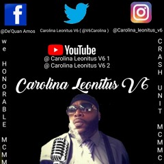 Carolina Leonitus V6