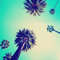 User 639801920