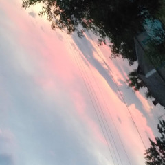 K_A_R_A_T_E_L _i_zadrot