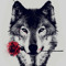 redwolf 324