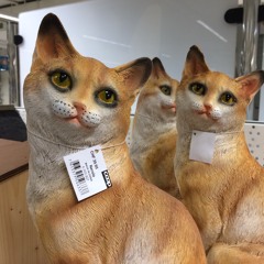 Darkini