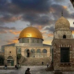 Mohammed M Abo Lehya