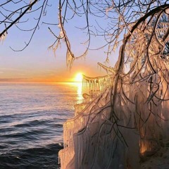 Red_Frost