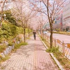 sanhae_kang