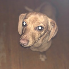 yousef-mohammed-issa