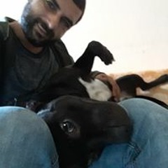 calo