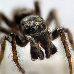 Артем Артем