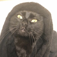 DestinationKat
