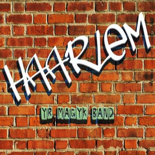 Haarlem’s avatar