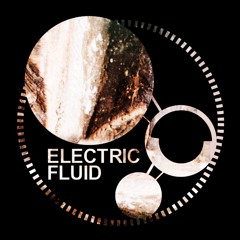 Electric Fluid