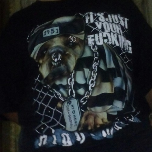 Lil Hash 11 11 S Stream