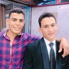 محمد السيد عبدالحي