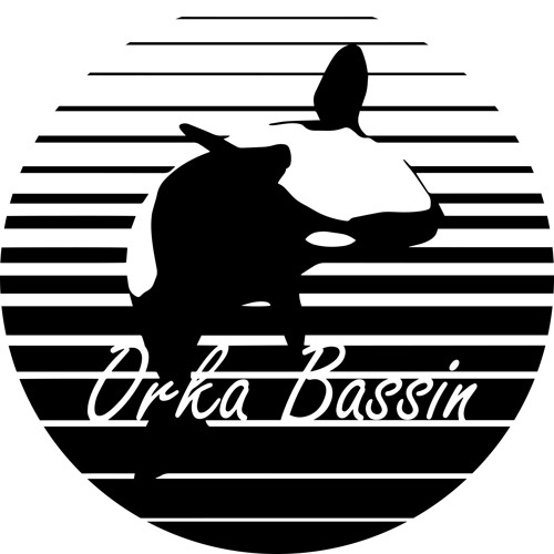 Orka Bassin’s avatar