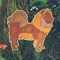 magu the dog