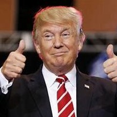 trump will build a wall 60 feet tall