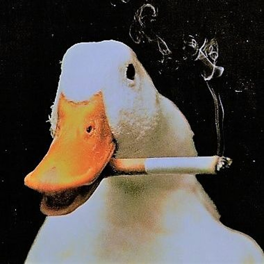 goose smoking a cigarette Stream DVCK music