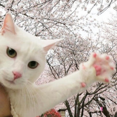 진영진