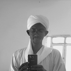 شعبي محمد احمد عوض