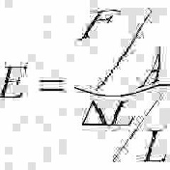Yung Modulus