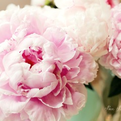 setarehnosrati@yahoo.com