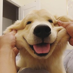 ＮＧＵＹＥＮ ＴＲＵＯＮＧ ＰＨＡＴ